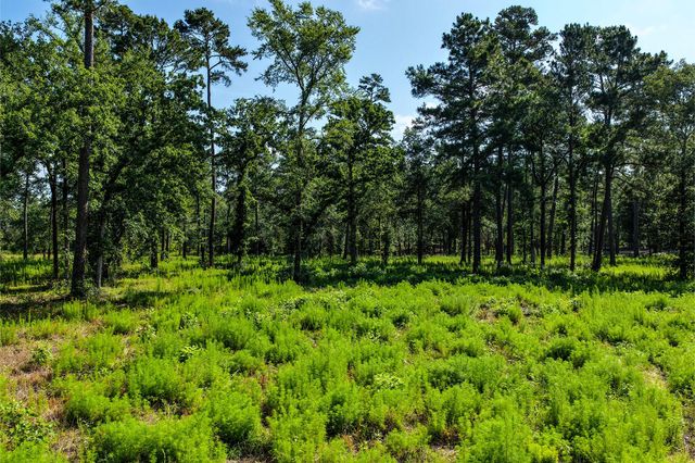 14.5 Ac Westview Dr, Huntsville, TX 77320