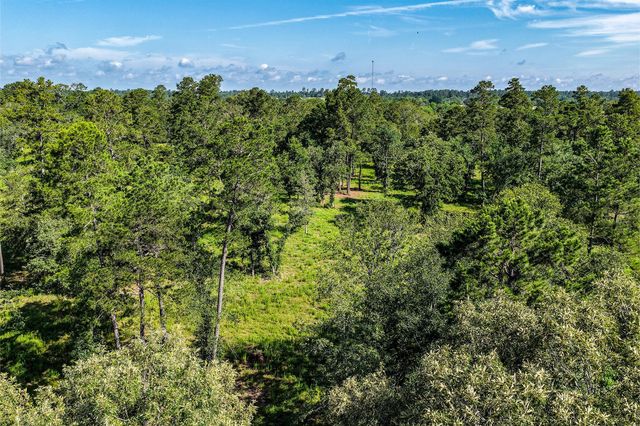 14.5 Ac Westview Dr, Huntsville, TX 77320