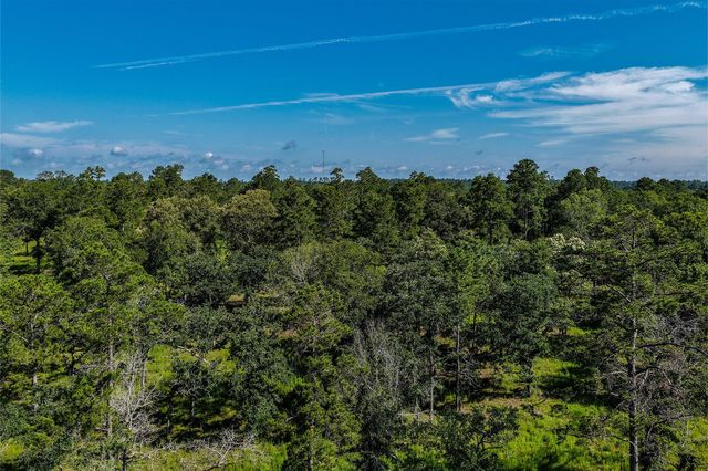 14.5 Ac Westview Dr, Huntsville, TX 77320