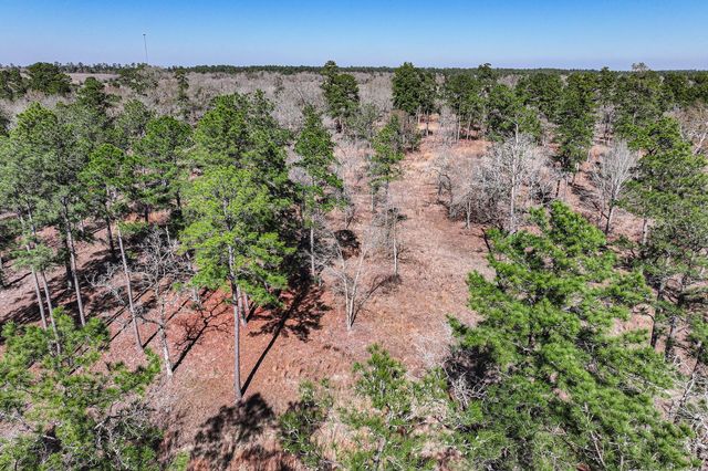 14.5 Ac Westview Dr, Huntsville, TX 77320