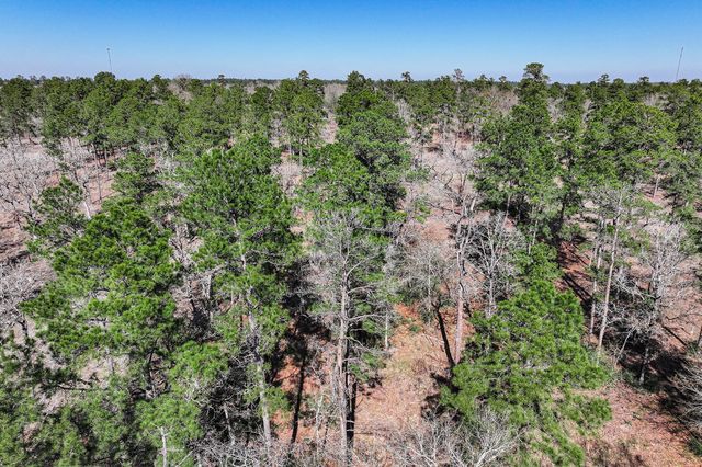 14.5 Ac Westview Dr, Huntsville, TX 77320