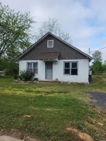 907 S Reine, Mena, AR 71953