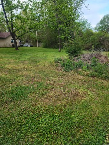907 S Reine, Mena, AR 71953