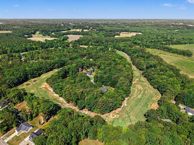 169 Black Cloud Drive, Louisburg, NC 27549