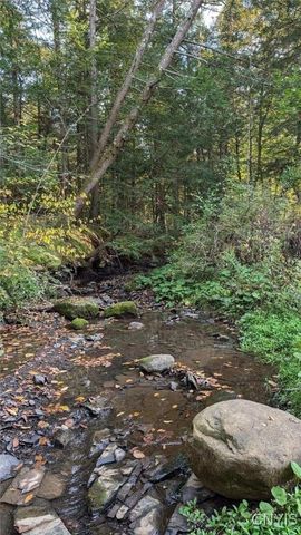 7358 Glass Factory Road, Trenton, NY 13354