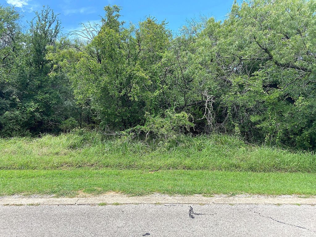 27027 Stonewood Drive, Whitney, TX 76692