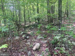 840 FALCONWOOD DR, Paw Paw, WV 25434