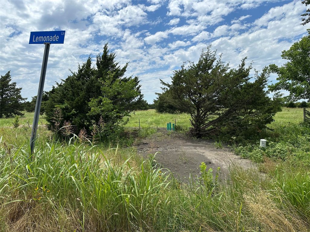 Lot 7 Lemonade Ln., Farmersville, TX 75442
