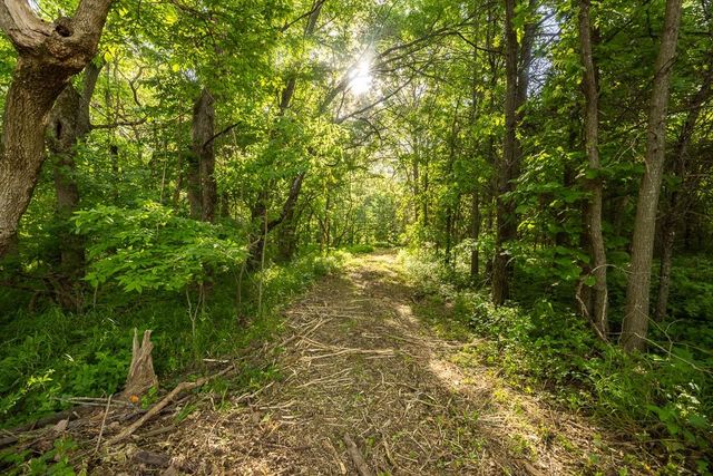 Tract A NE 900th Road, Knob Noster, MO 65336