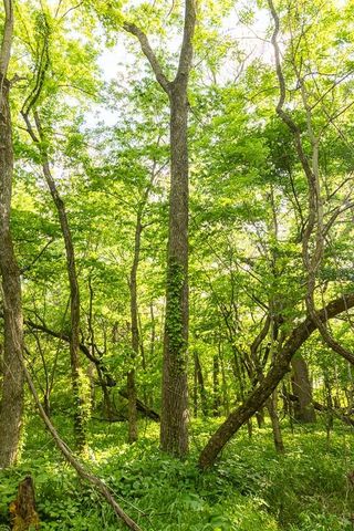 Tract A NE 900th Road, Knob Noster, MO 65336