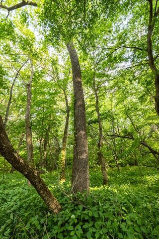 Tract A NE 900th Road, Knob Noster, MO 65336