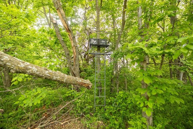 Tract A NE 900th Road, Knob Noster, MO 65336