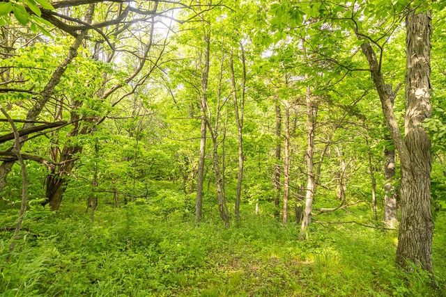 Tract A NE 900th Road, Knob Noster, MO 65336