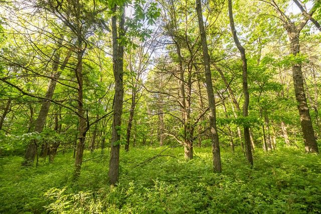 Tract A NE 900th Road, Knob Noster, MO 65336