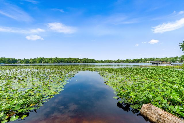 31730 Brandywine Road, Gobles, MI 49055