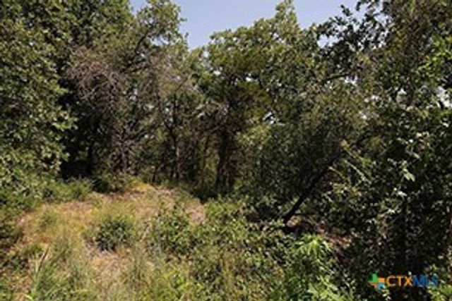 TBD Post Oak Rim, Bastrop, TX 78602