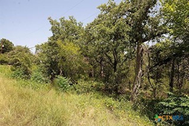 TBD Post Oak Rim, Bastrop, TX 78602