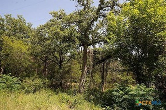 TBD Post Oak Rim, Bastrop, TX 78602
