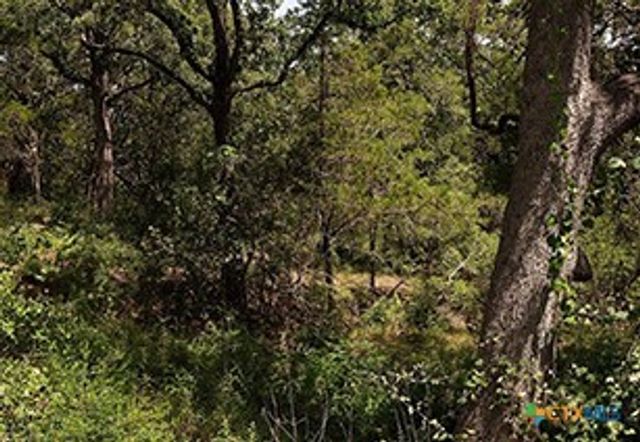 TBD Post Oak Rim, Bastrop, TX 78602