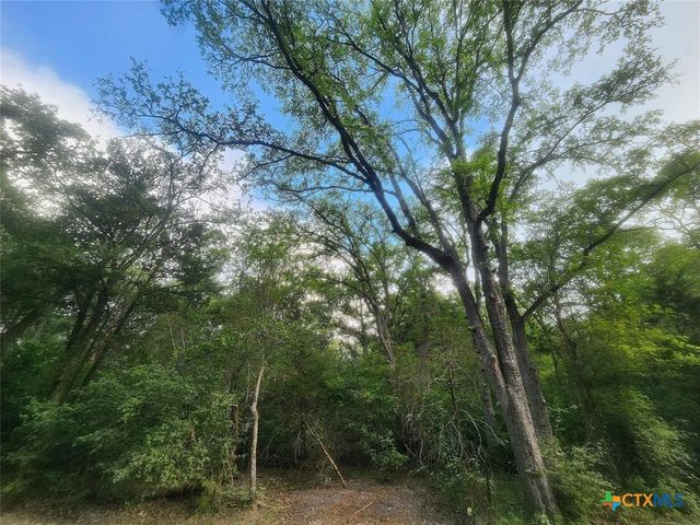 TBD Post Oak Rim, Bastrop, TX 78602