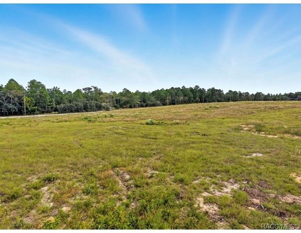 9358 N Unicorn Point, Dunnellon, FL 34433