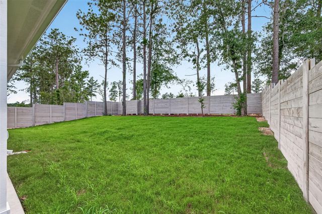 11328 Iron Horse Street, Montgomery, TX 77316