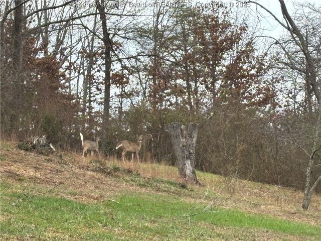 110 & 108 Mallory Lane, South Charleston, WV 25309