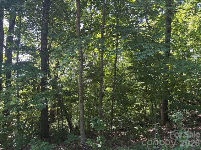 000 Williams Circle NW 320, Lake Lure, NC 28746