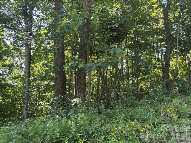 000 Williams Circle NW 320, Lake Lure, NC 28746