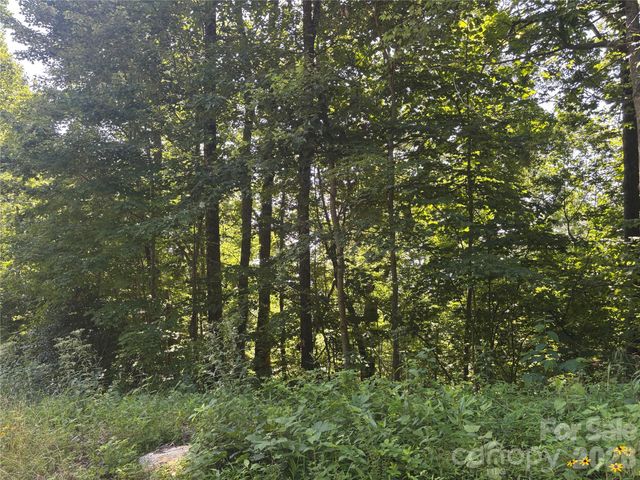 000 Williams Circle NW 320, Lake Lure, NC 28746