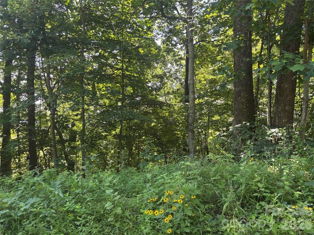 000 Williams Circle NW 320, Lake Lure, NC 28746