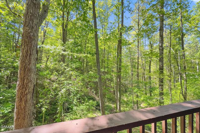 1607 S Mountain View Road, Sevierville, TN 37876