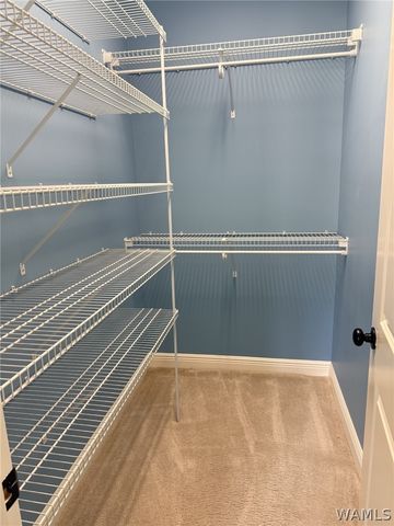 5551 Alexander, Tuscaloosa, AL 35406