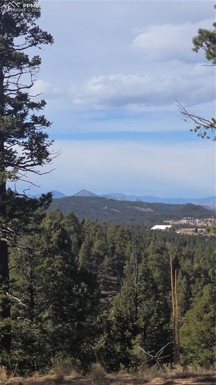 169 Osoeola Road, Woodland Park, CO 80863 — exterior