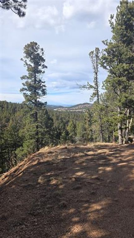 169 Osoeola Road, Woodland Park, CO 80863 — photo 2
