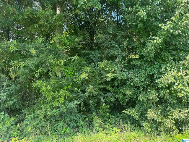 0 HIGHWAY 202, Anniston, AL 36201