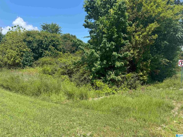 0 HIGHWAY 202, Anniston, AL 36201