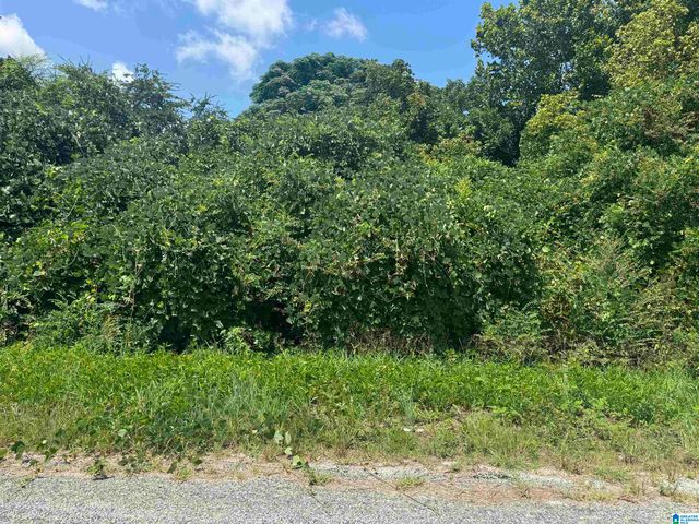 0 HIGHWAY 202, Anniston, AL 36201