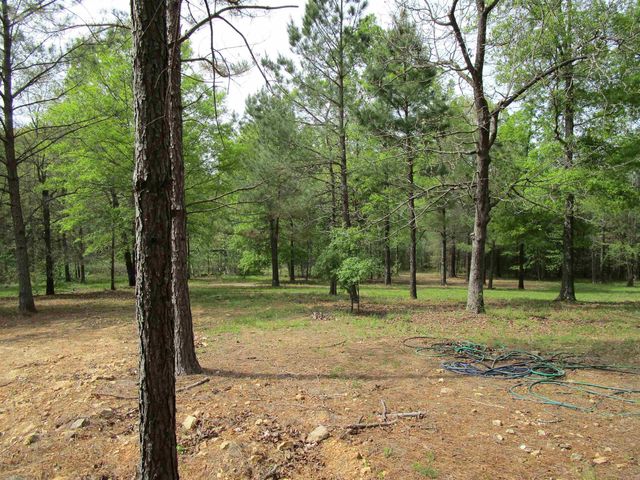 1800 Shady Grove, Hot Springs, AR 71901