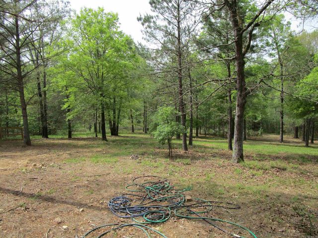 1800 Shady Grove, Hot Springs, AR 71901