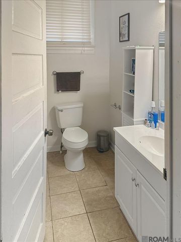 18475 H H Wilson Rd, Prairieville, LA 70769