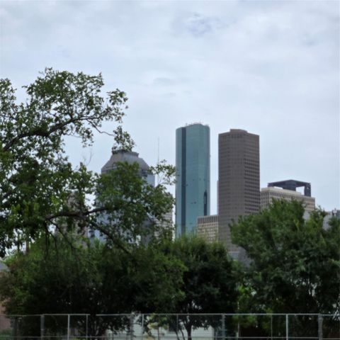 1208 Wilson Street, Houston, TX 77019