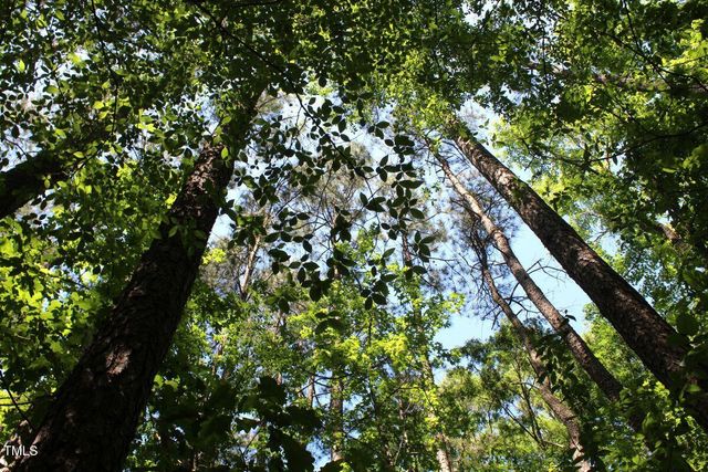 0 Sims Bridge Road, Kittrell, NC 27544