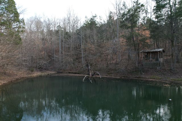 5849 N Lick Creek Rd, Franklin, TN 37064