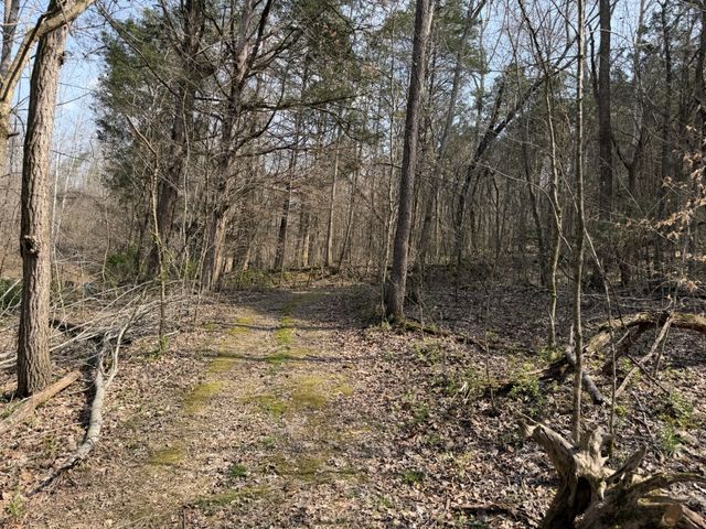 5849 N Lick Creek Rd, Franklin, TN 37064