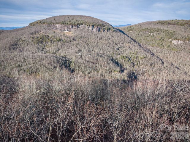 000 Meadow Ridge Drive 15, Lake Toxaway, NC 28747