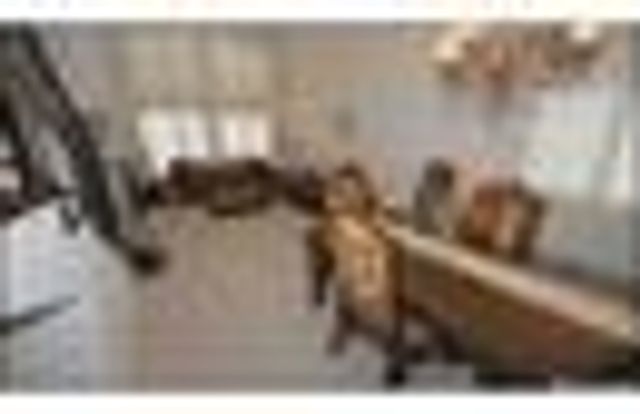 1628 Quinta Del Sol Court, El Paso, TX 79911