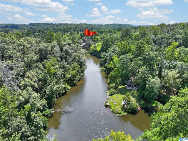 10876 MALLARD LAKE LANE, Cottondale, AL 35453