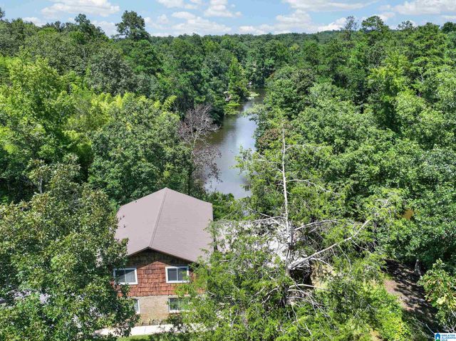 10876 MALLARD LAKE LANE, Cottondale, AL 35453