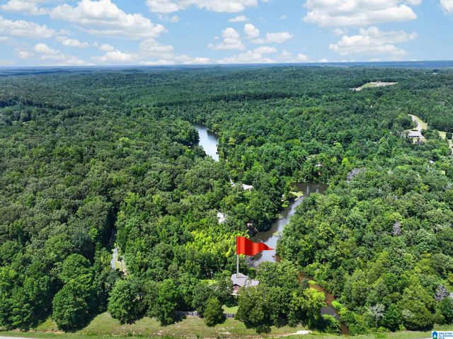 10876 MALLARD LAKE LANE, Cottondale, AL 35453
